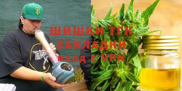 стаф Арсеньев