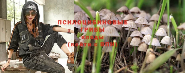 стаф Арсеньев