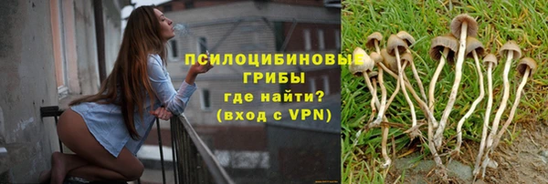 стаф Арсеньев