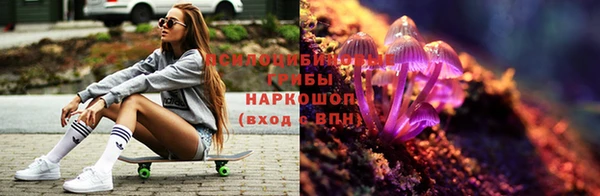 прущие крисы Аркадак
